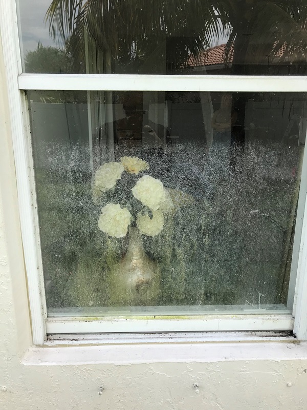 window-cleaning6